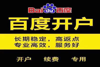 百度推广在电商行业的应用及效果